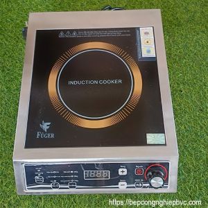 Bếp từ Fuger 3000W